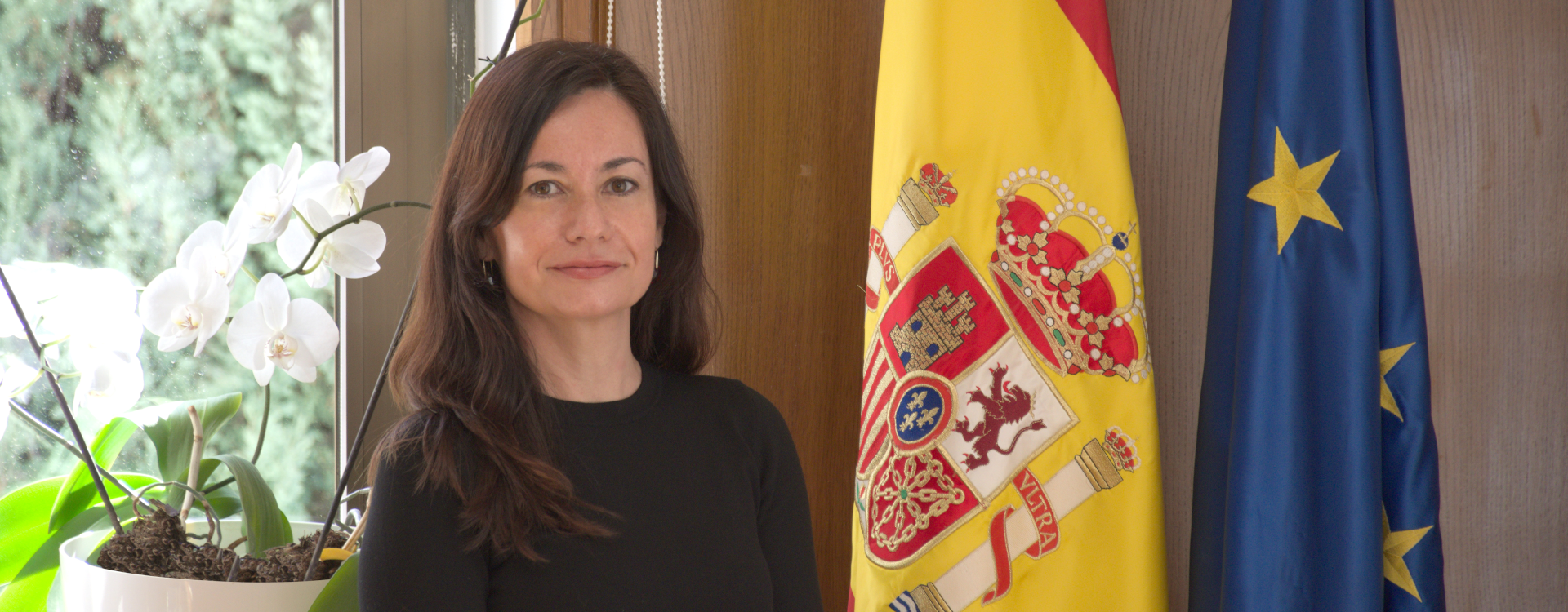 NUEVA PÁGINA WEB DEL CENTRO DE ESTUDIOS JURÍDICOS – CARTA DE LA DIRECTORA NUEVA PÁGINA WEB DEL CENTRO DE ESTUDIOS JURÍDICOS – CARTA DE LA DIRECTORA