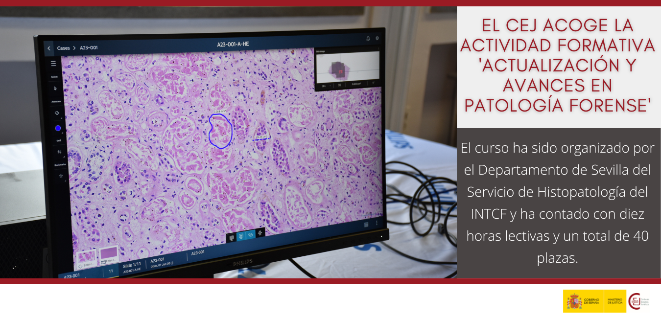 EL CENTRO DE ESTUDIOS JURÍDICOS FORMA A LOS FACULTATIVOS DEL INSTITUTO NACIONAL DE TOXICOLOGÍA Y CIENCIAS FORENSES EN LOS ÚLTIMOS AVANCES SOBRE PATOLO